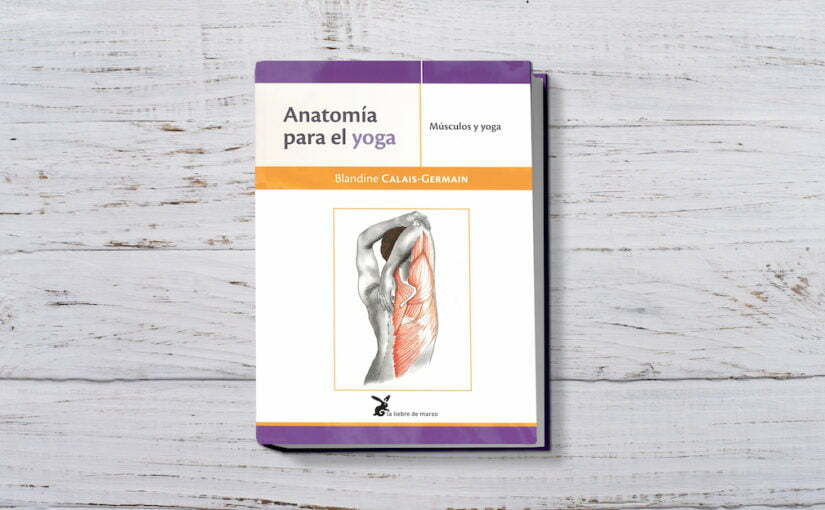 anatomia para el yoga