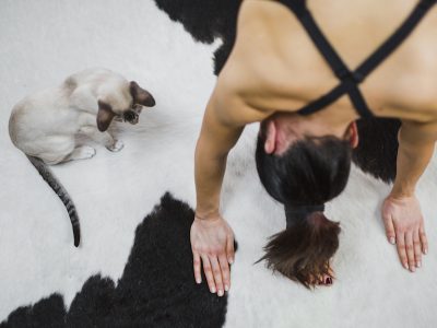 Yoga mujer gato