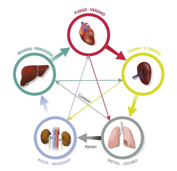 FIG1