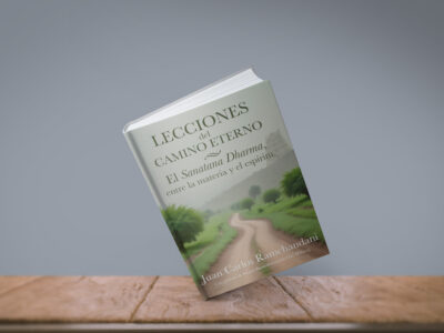 lecciones