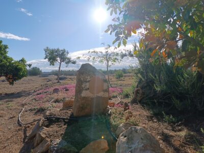 Shiva lingam