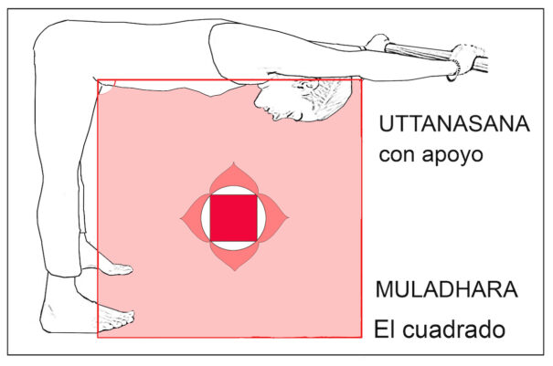 4. el cuadrado