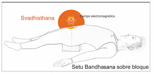 Setu Bandhasana 