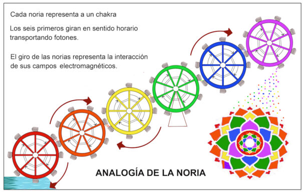 Noria