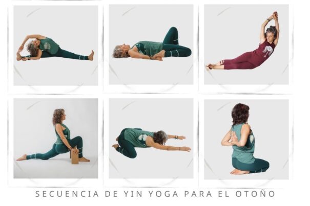 yin yoga